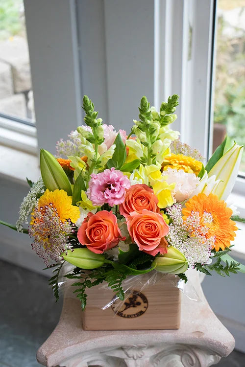 Floretta Flower Box in bright & cheery colours, medium size